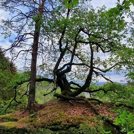 Campeggio Rekreační Areál Příhrazy *