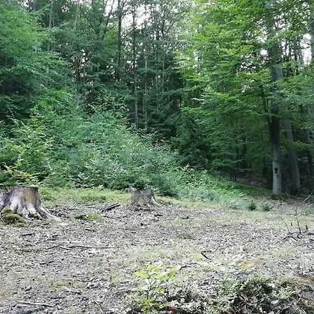 Rekreační Areál Příhrazy *