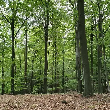 Campeggio Rekreační Areál Příhrazy Prihrazy